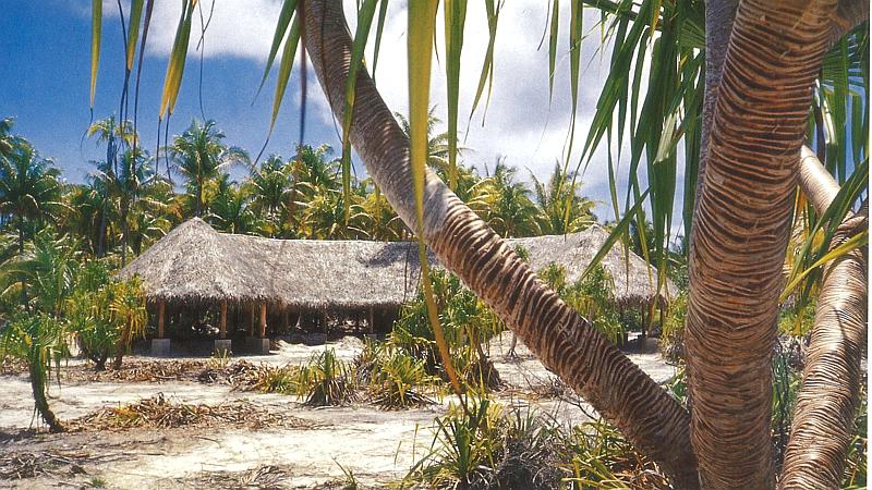 Grafika programu „Marlon Brando - tahitańska ułuda”